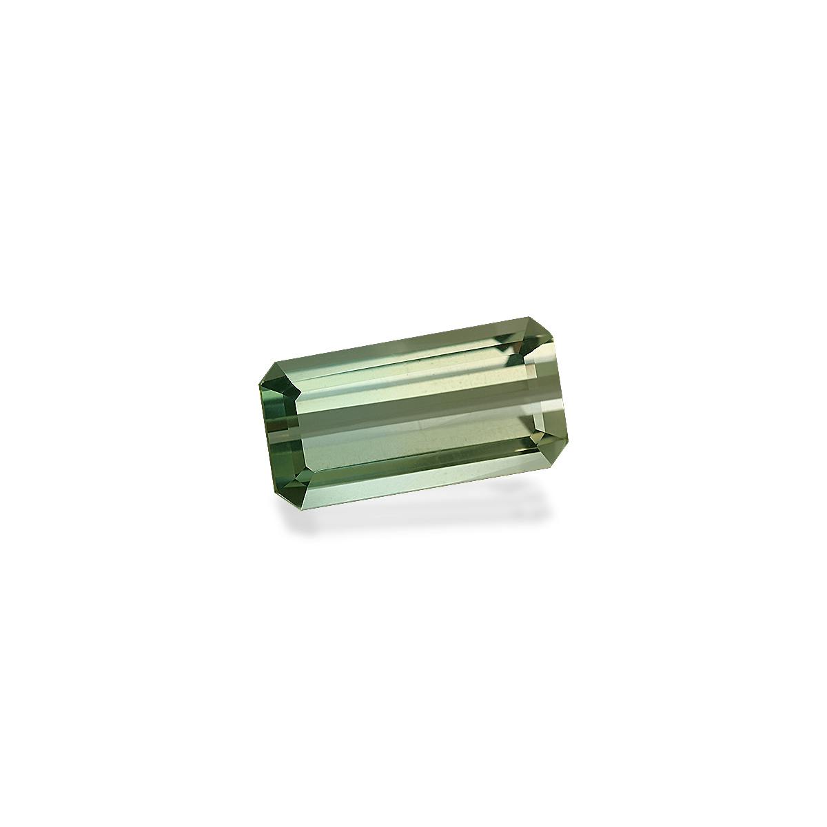 Bi Colour Tourmaline 15.48 ct